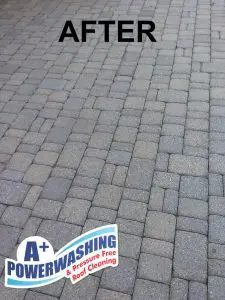 Monmouth Beach cleaning - after 2