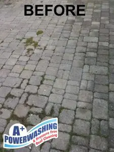 Monmouth Beach cleaning - before 2