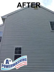 rumson cleaning - after