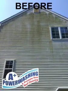 rumson cleaning - before