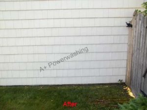 100_4331 A+ power washing