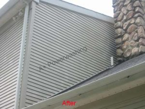 IMG_2714 roof cleaning service