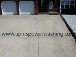 drive1.JPEG power washing & roof cleaning service