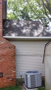 after-1.JPEG back of house - clean siding
