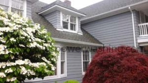 before-8.JPEG roof cleaning service