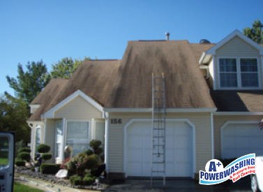 roof-washing echofriendly A+ Power Washing and Roof Cleaning offers professional roof cleaning in the Central Jersey area.