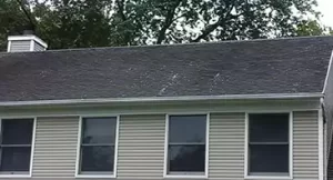s1-before roof before power washing