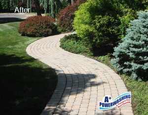 Stone Walkway after Power Washing Stone Walkway after Power Washing