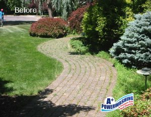 16 _ Paver 2 Before stone walk before power washing