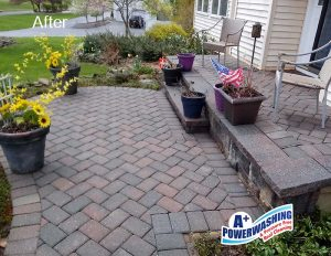 moss on roof Power Washing Pavers After