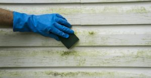 The Biggest Lie About Home Power Washing Services The Biggest Lie About Home Power Washing Services