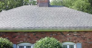 Why Soft Washing is the Best Roof Washing Option