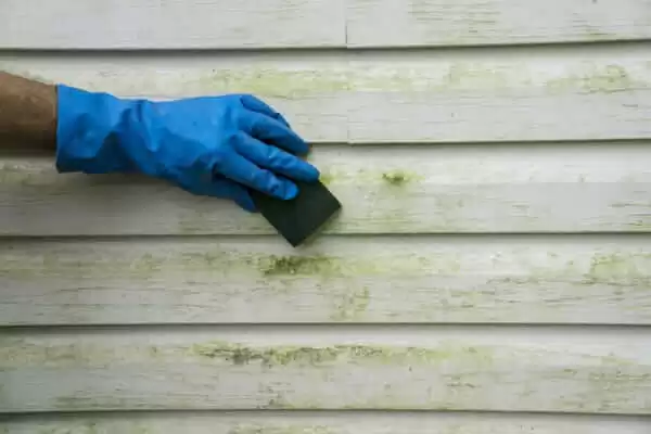 how to clean vinyl siding how to clean vinyl siding
