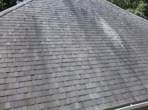 black algae on the roof of a home