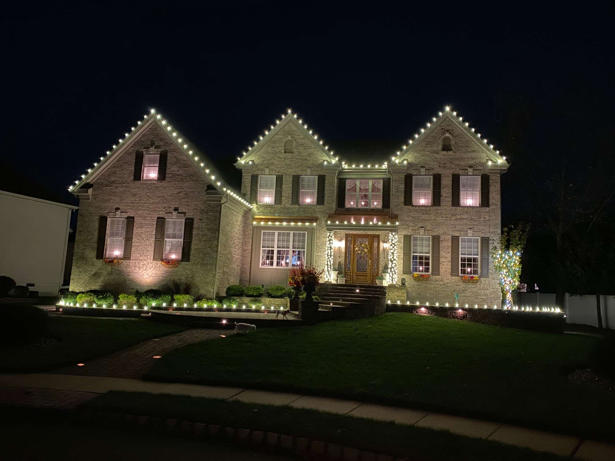 Professional Christmas Light Installation A+ Power Washing