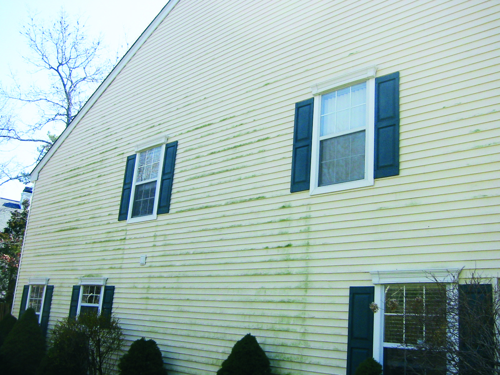 siding before