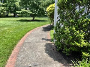 Little Silver - Before SideWalk Little Silver - Before SideWalk