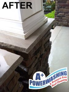 Neptune Township cleaning - after 2 Neptune Township cleaning – after 2