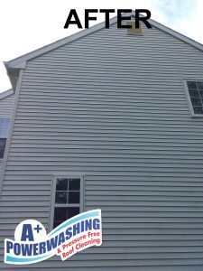 rumson cleaning - after rumson cleaning - after