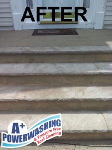 rumson cleaning - after rumson cleaning - after